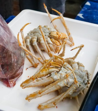 대게철은 언제