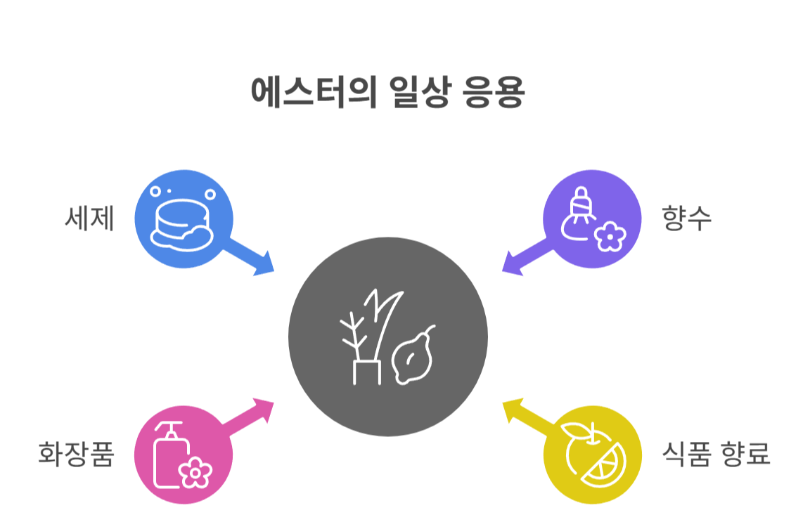 에스터화가 일상에서 사용되는 예시들