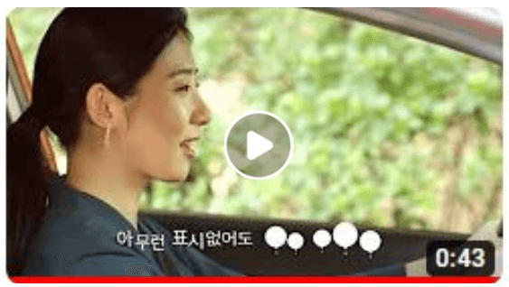 경찰-교통민원-24