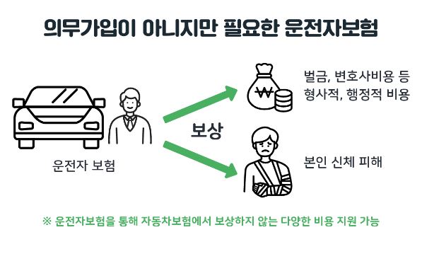 운전자-보험-특징