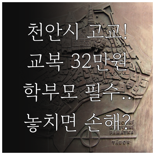 2025 천안시 고등학교 교복 32만..