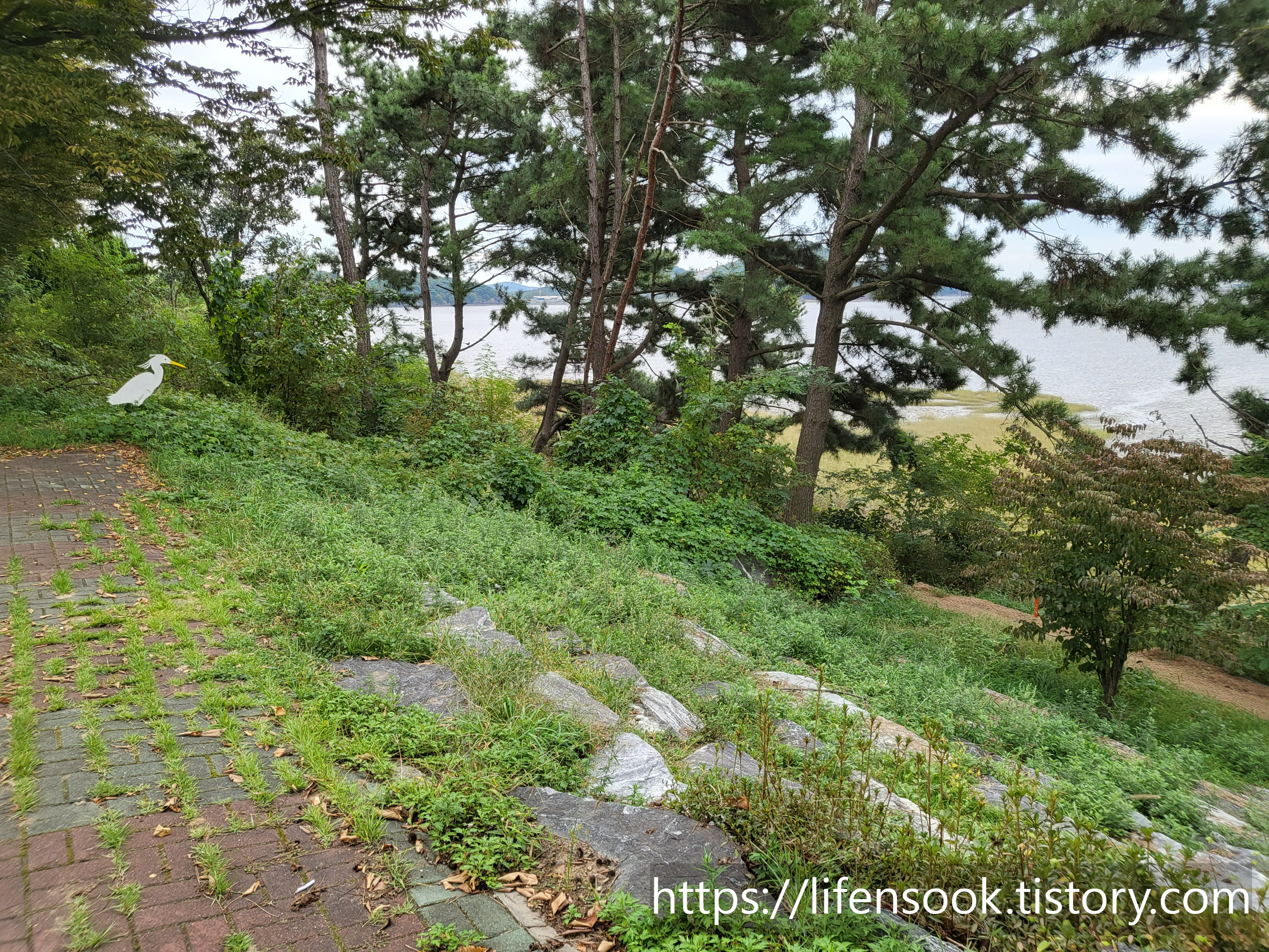 대부해솔길 6코스 노랑부리백로 7