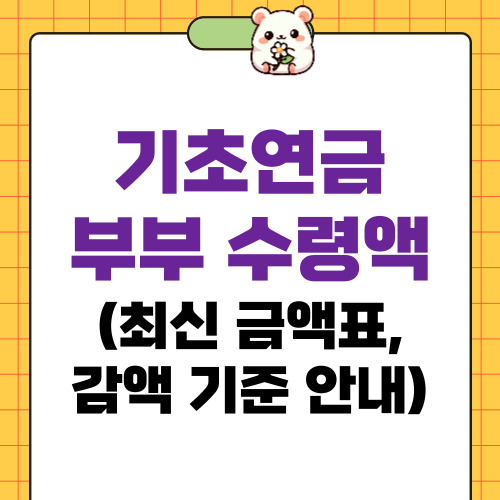 기초연금 부부 수령액