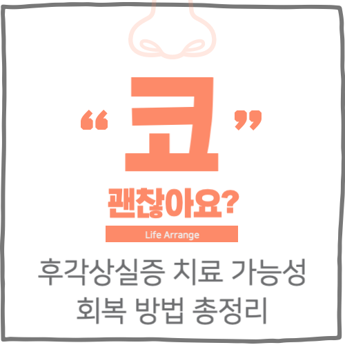후각상실증 치료가능성과 회복 방법