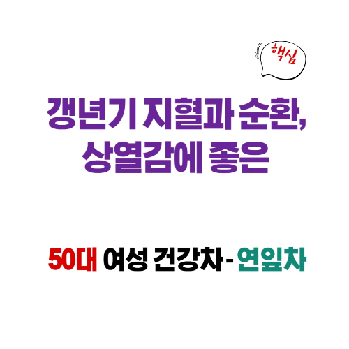 갱년기 지혈과 순환, 상열감에 좋은 50대 여성 건강차 - 연잎차