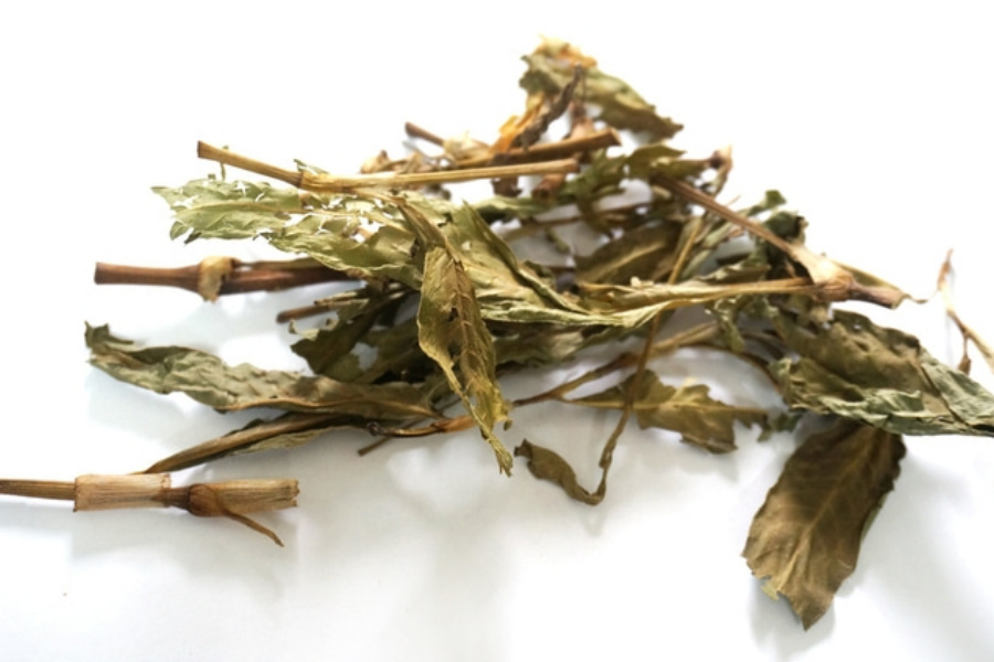 야생에서 채취를 한 여뀌의 잎을 깨끗하게 세척한 후에 건조시킨 것을 하얀 바닥 위에 놓아두고 찍은 사진