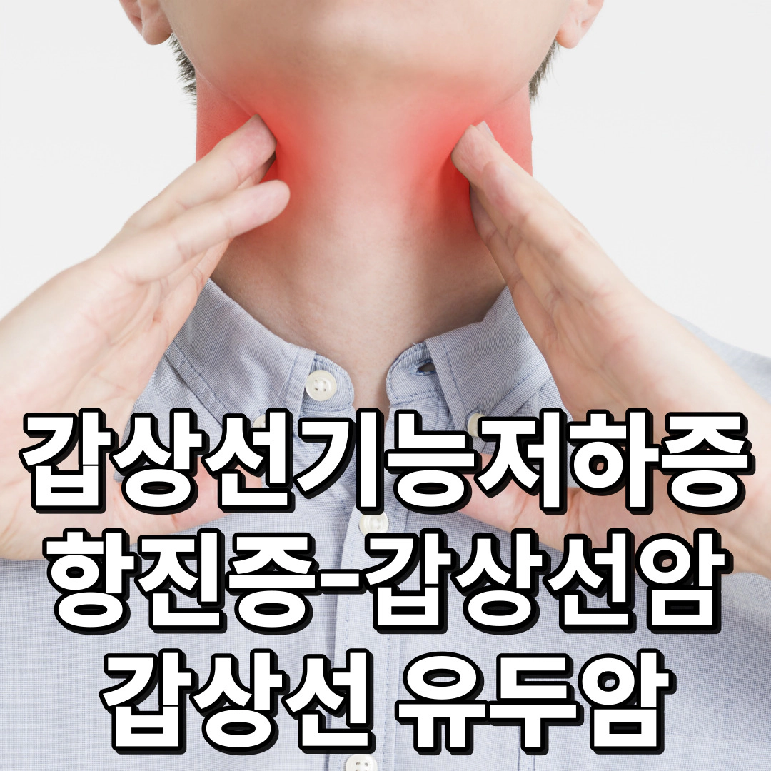 갑상선 기능 항진증-갑상선 기능 저하증-갑상선암-갑상선 유두암