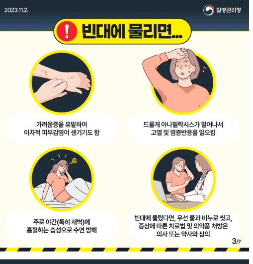 충북 충주 빈대 발견 퇴치법 질병관리청