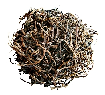 가을에 피는 꽃 쇠비름