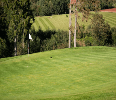 파크골프장 선택 팁