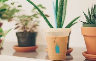 블루보틀 창업에 대하여 알아보기