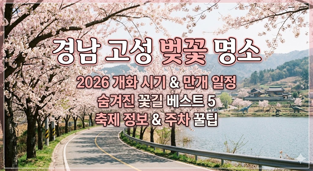고성 벚꽃 명소