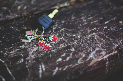 운전면허증 재발급, 갱신, 분실신고 총정리 (2024ver)