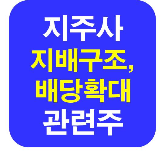 지주사 관련주