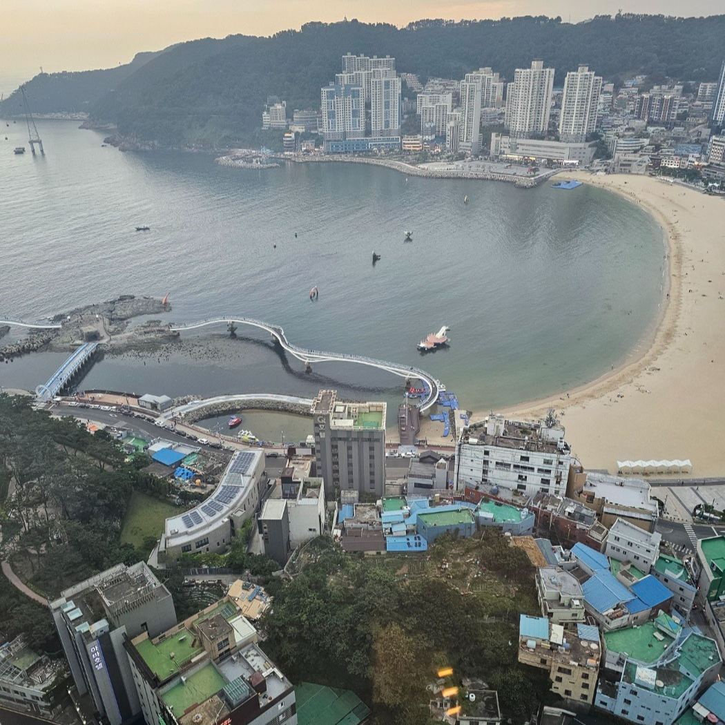 생활의 지혜: 일상에서 유용한 팁 모음