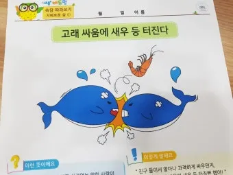 고래 싸움에 새우등 터진다 뜻과 속담 영어 표현 안내집_6