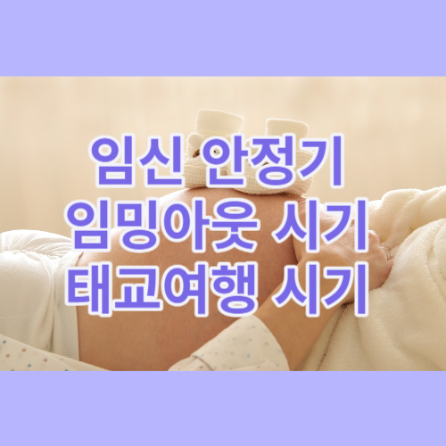 임신안정기