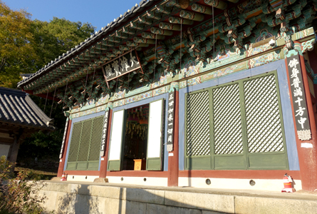 서산 개심사 겹벚꽃