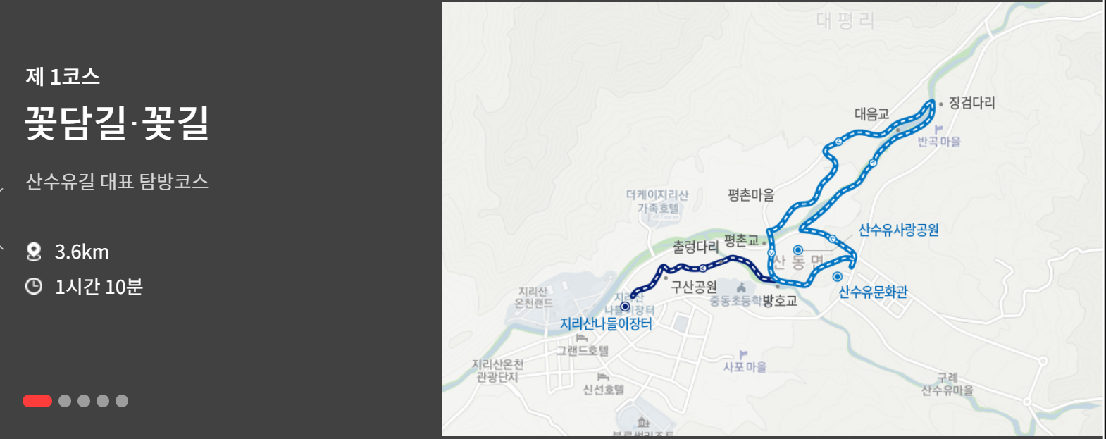 구례 산수유축제