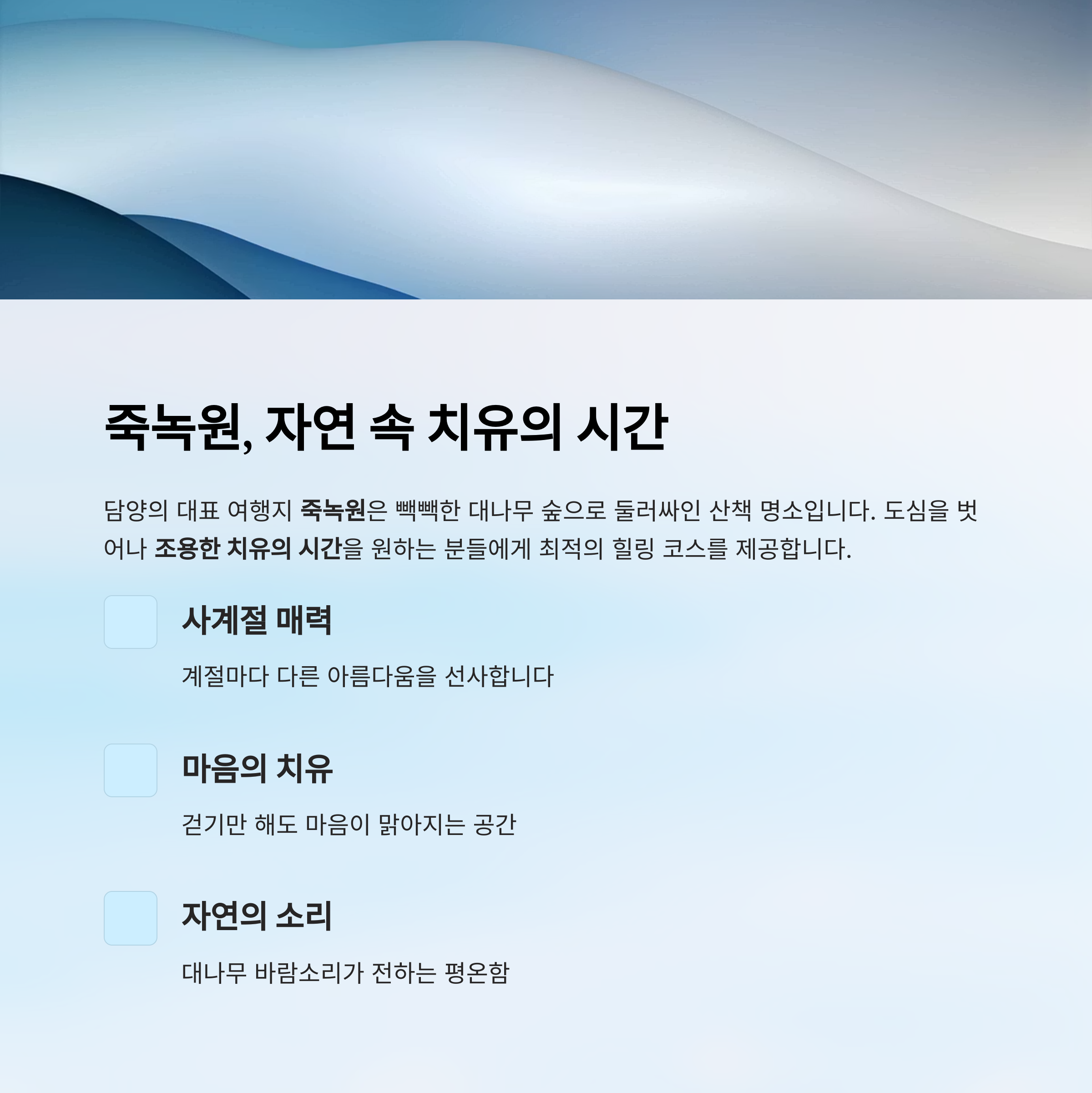 담양 죽녹원에서 만나는 대나무숲의 고요한 힐링 여행