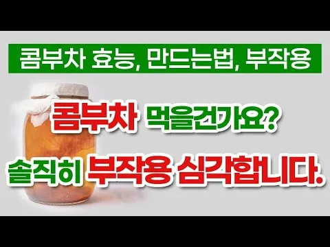콤부차 효능_5