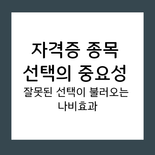 자격증 종목 선택의 중요성: 잘못된 선택이 불러오는 나비효과
