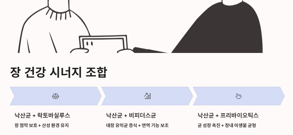 낙산균 효능, 유산균 차이, 프로바이오틱스 조합 총정리