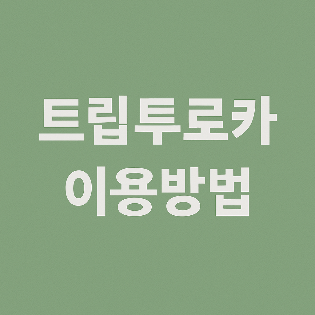 트립투로카 여행