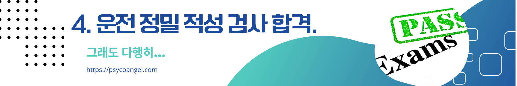 운전정밀적성검사 합격