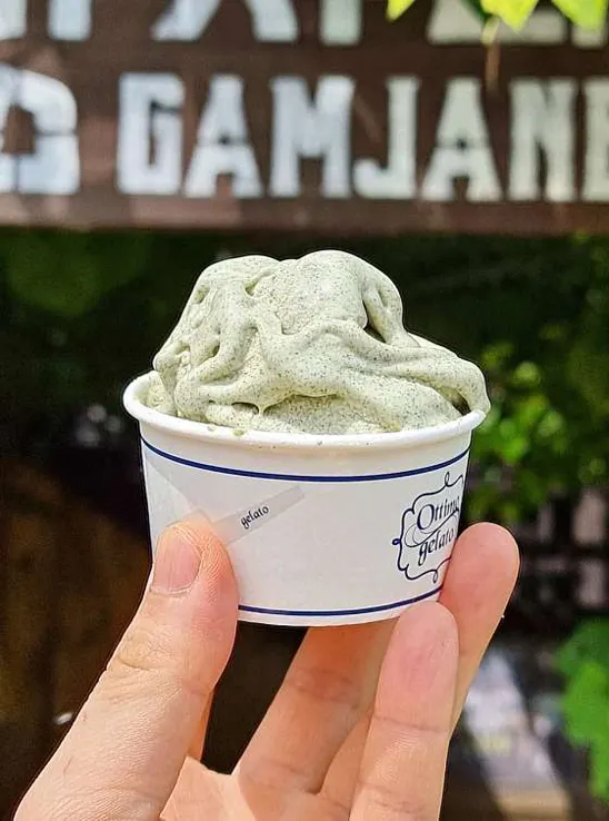 감자네