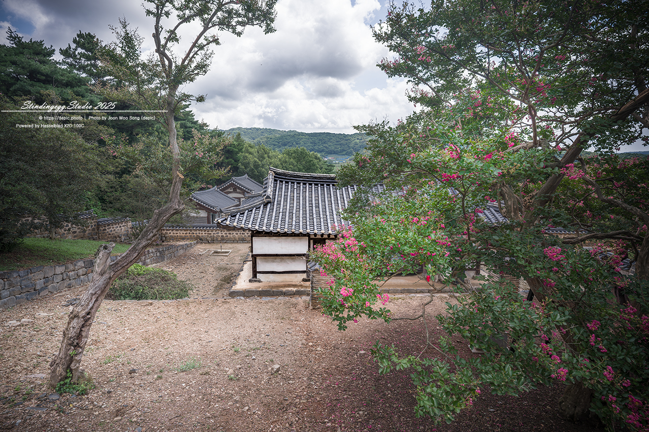 #논산 #종학당 #파평윤씨 #배롱꽃