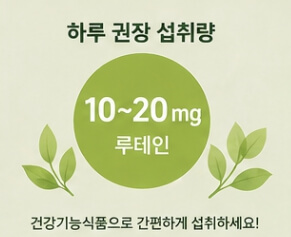 루테인 복용시간