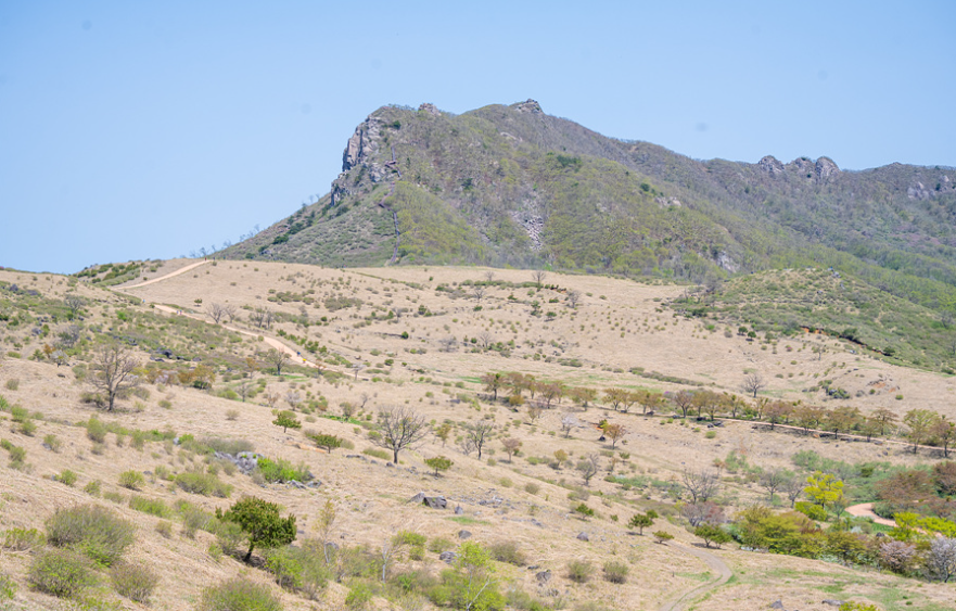 황매산 철쭉 축제