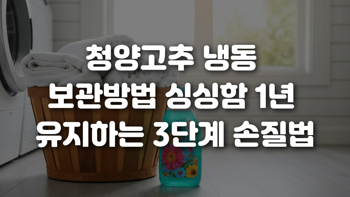 청양고추 냉동 보관방법 싱싱함 1년 유지하는 3단계 손질법