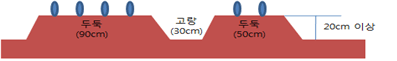 텃밭 당근 파종&#44; 심는 시기&#44; 재배 방법 및 효능 알아보기