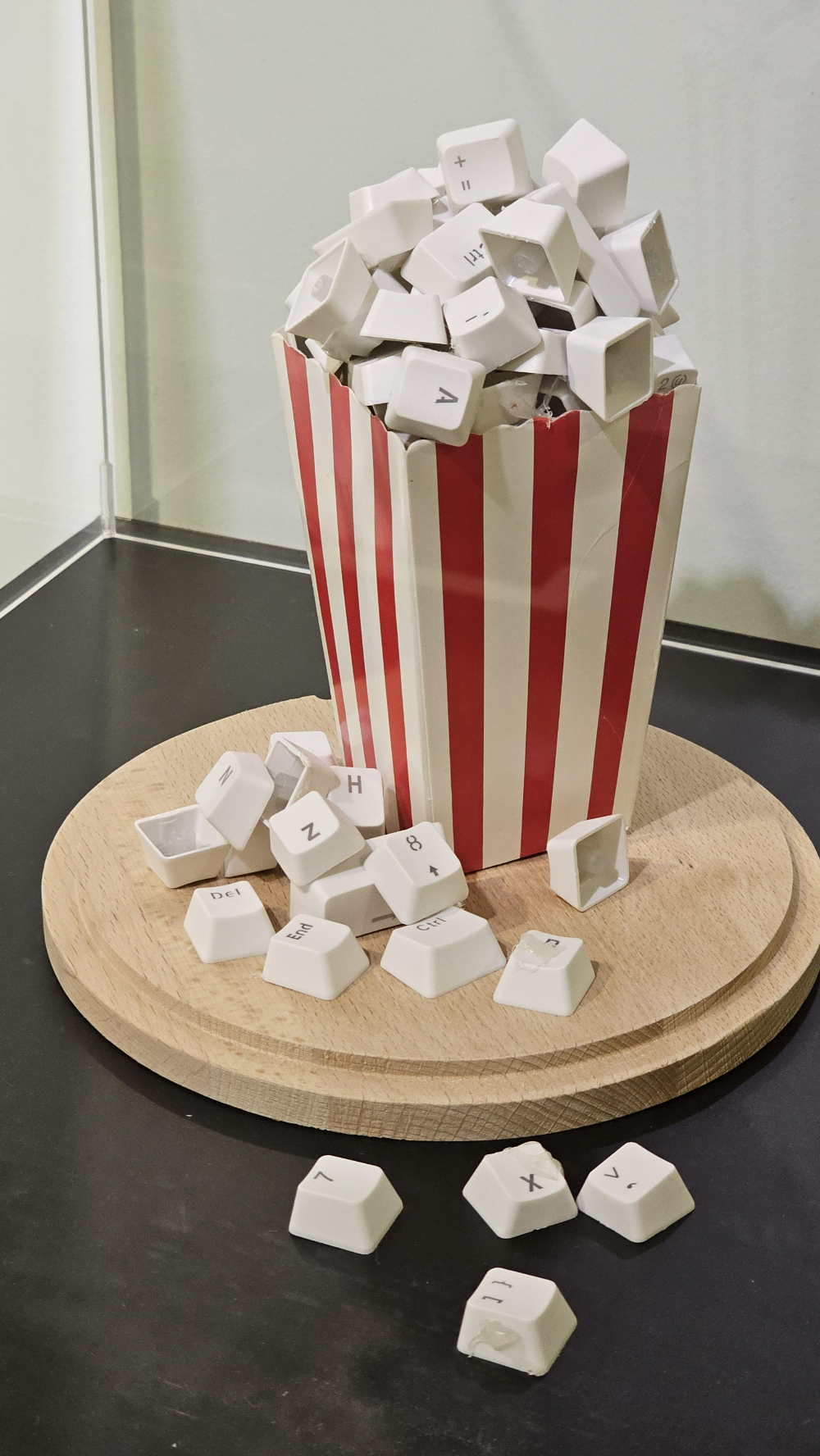 아쿠아플라넷 여수 헬가 스텐첼 특별전