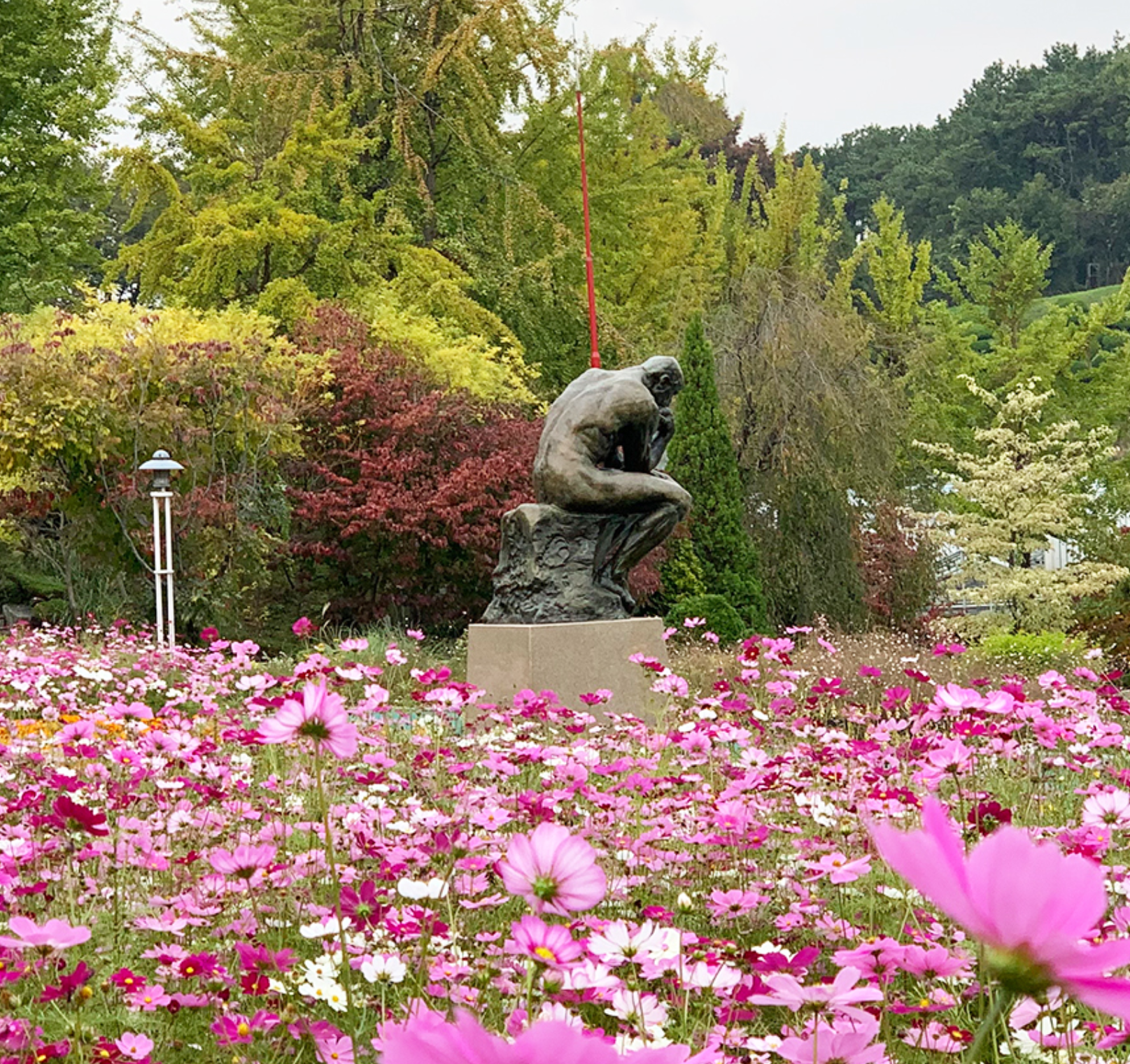 2023년 10월 11월 전국 가을 단풍 축제 BEST5