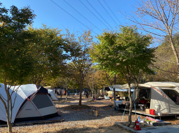 경기-가평-캠핑소리251-캠핑장-사진-입니다.