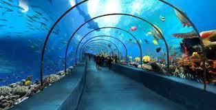 통영 가볼 만한 곳