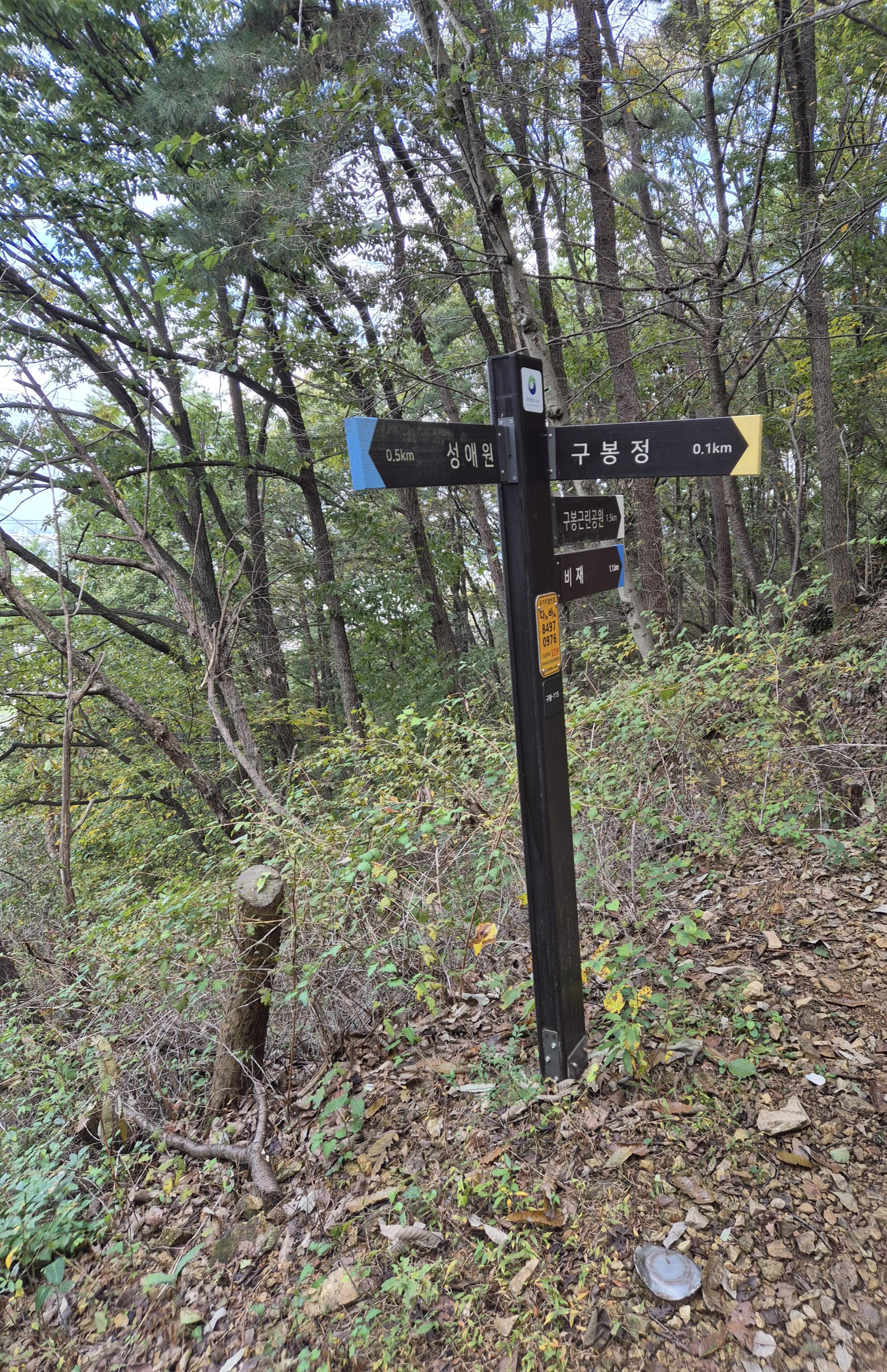 대전 구봉산