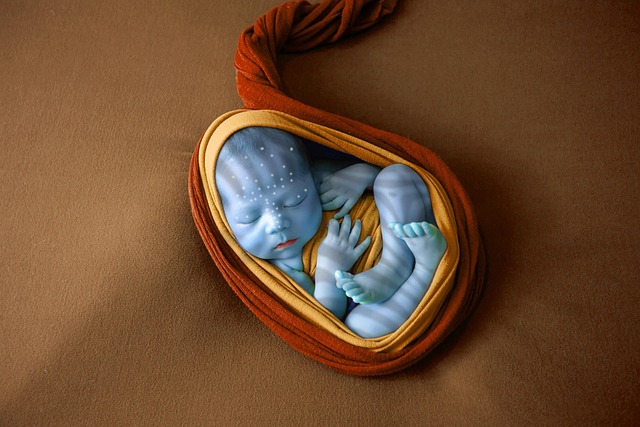 결혼식 꿈 해몽 풀이(결혼식하는 꿈 해몽, 무료꿈해몽풀이)