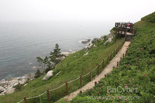 영덕 관광지 추천