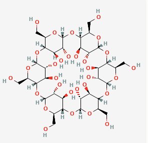 알파CD란 무엇인가?