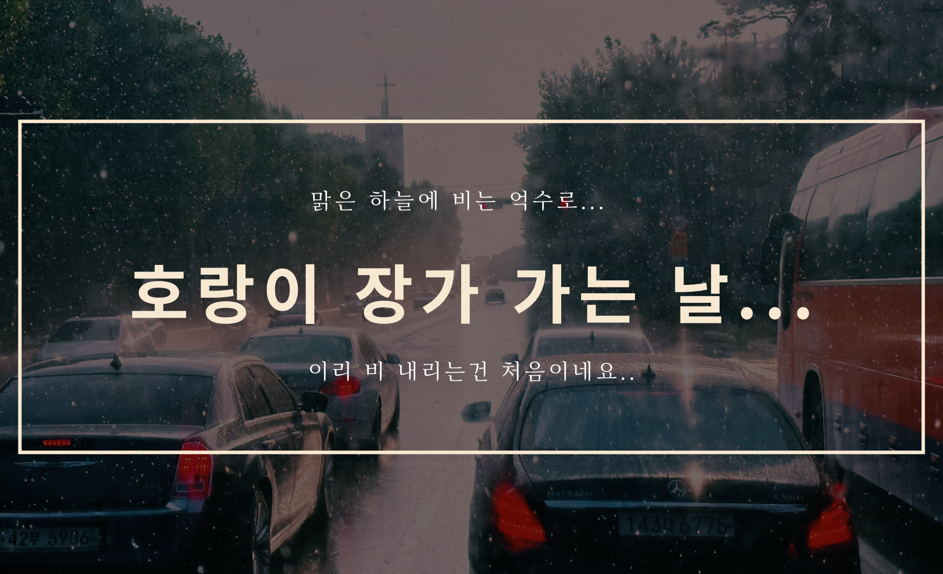 호랑이 장가 가는 날...