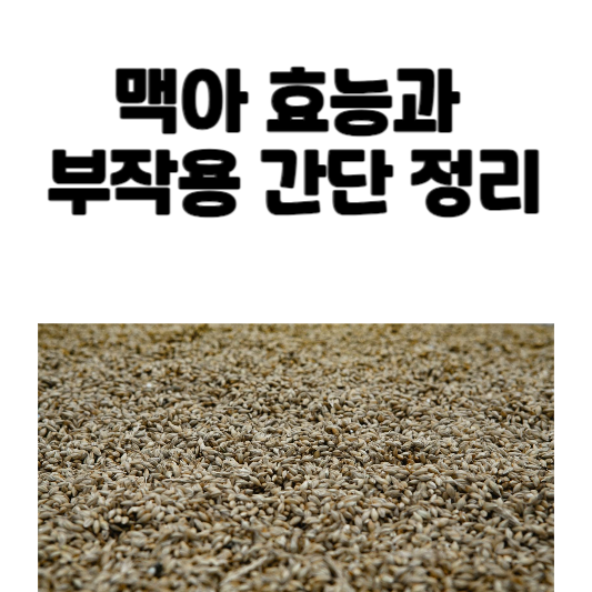 맥아 효능과 부작용