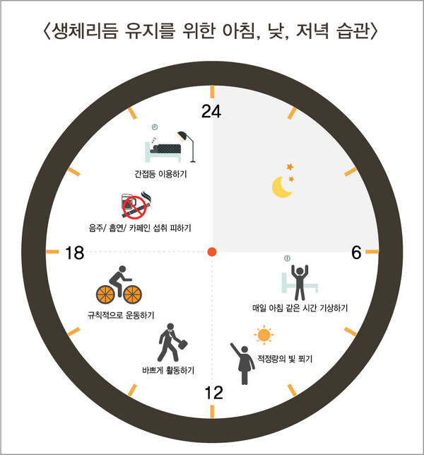 식사 시간 불규칙이 몸에 주는 신호