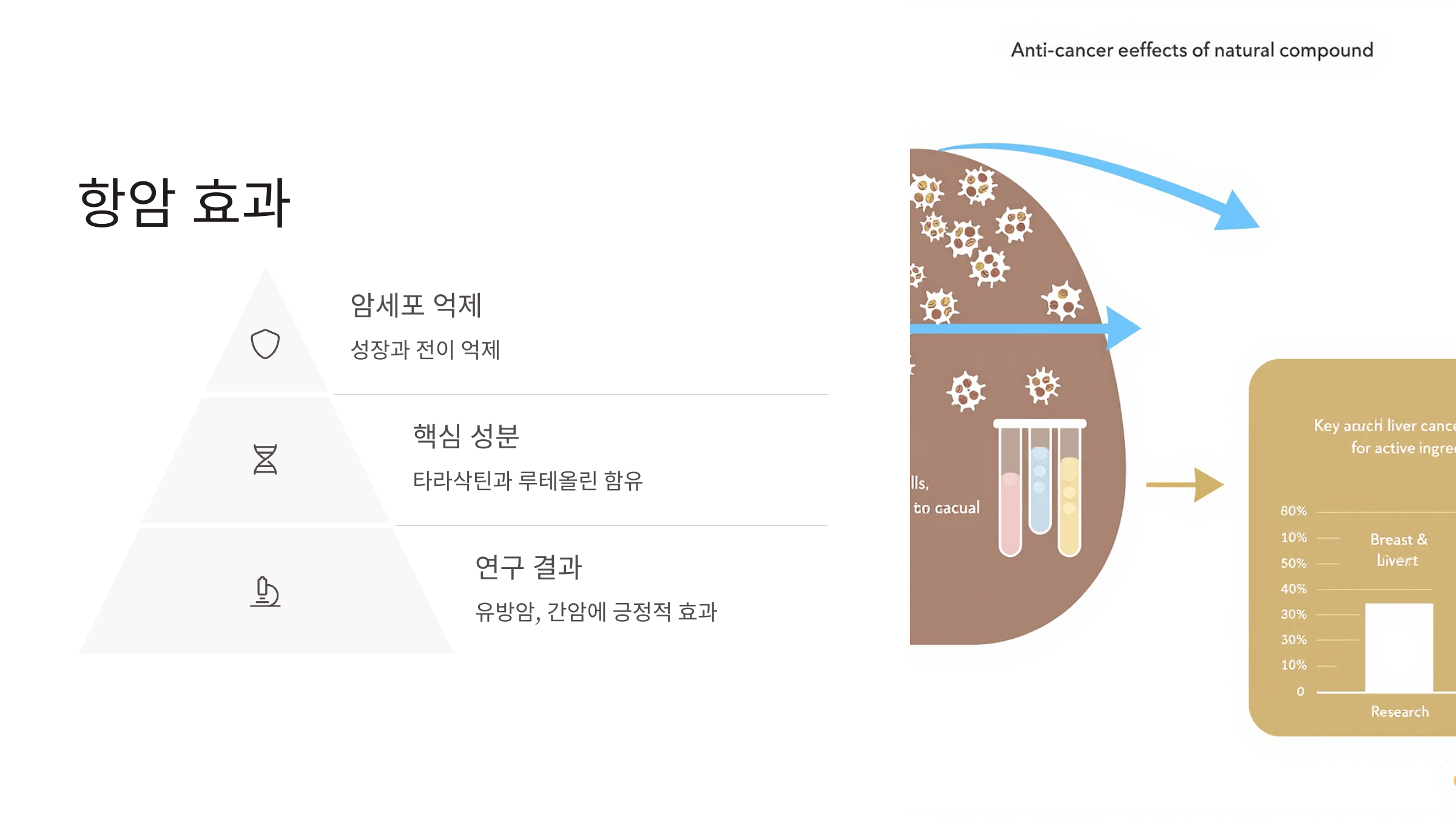 흰민들레 사진입니다.