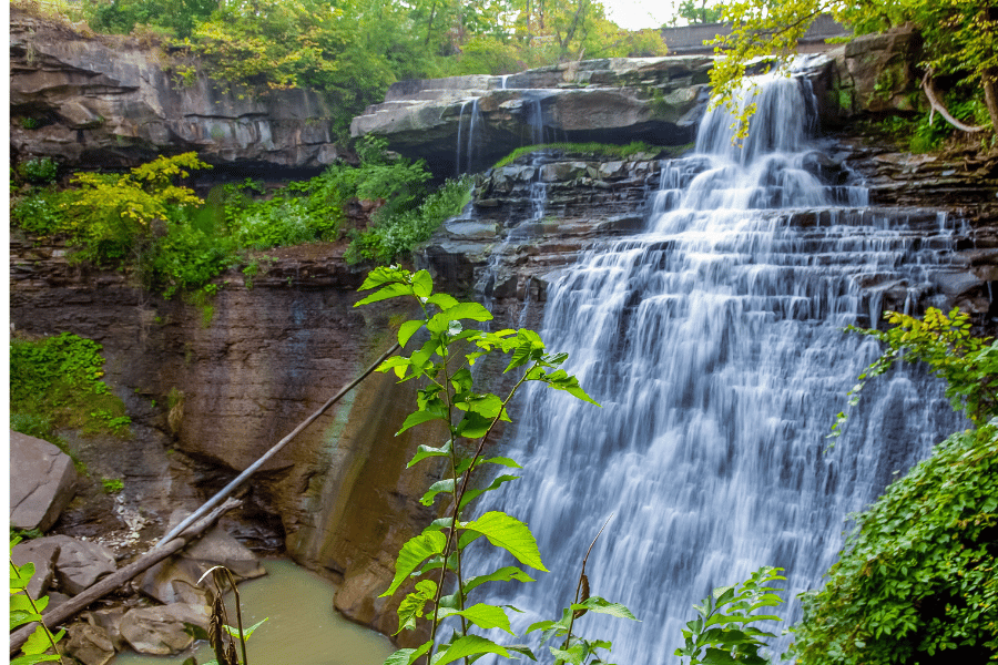소리여행 - 자연의 소리로 치유되는 특별한 여행