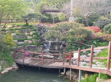 가을에 꼭 가야 하는 억새 명소