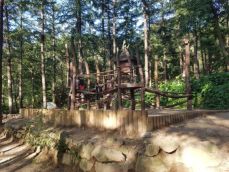용인자연휴양림